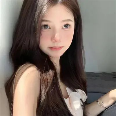 节日的准备 封面