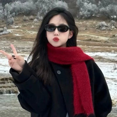 美国犯罪的最后日子 封面